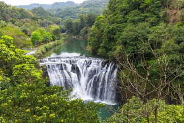 Shifen şelalesi Tayvan ormanlarında doğal bir mucize. 