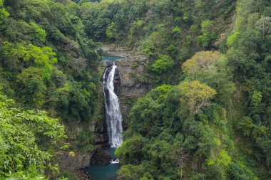 Doğal dağ parkı manzarasında manzaralı şelale