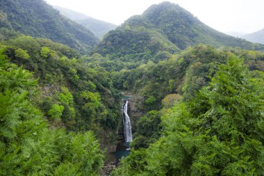 Tayvan dağ manzaralı huzurlu şelale