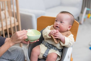 Anne bebeğin taze yemek yemesine yardım ediyor.