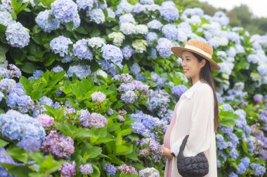 Hamile kadın ortanca çiçekliğinin tadını çıkarıyor.
