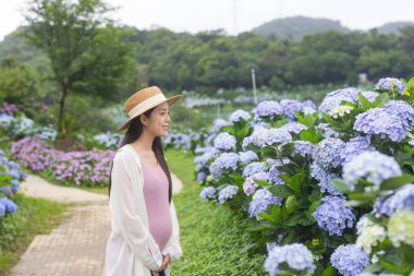 Ortanca Çiçek Tarlasında Güneş Işığı Altında Duran Hamile Kadın