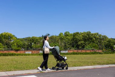 Parkta iterek gezginci anne
