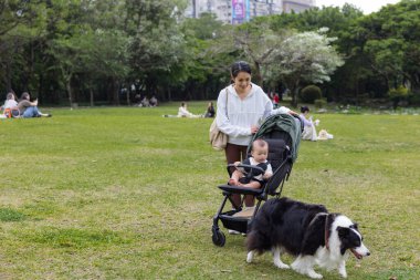 Parkta Çoban Köpeği ve Bebek Arabası Olan Kadın ve Oğlu