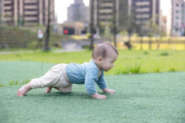 Küçük bebek güneşli bir günde parkı keşfediyor.
