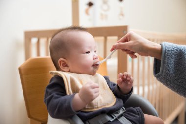 Şirin Bebek Katı Yemek İlk Kaşıklı Yemek
