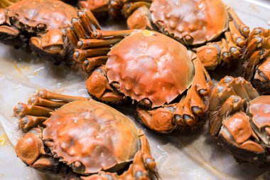 Pişmiş kıllı yengeç, deniz ürünleri yemeye hazır.