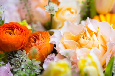 Kore Çiçek Kutusunda Turuncu Gül Şakayığı ve Lale