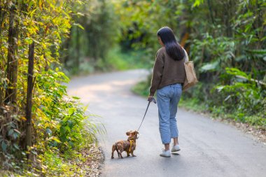 Genç kadın doğa parkında köpek gezdirmekten hoşlanıyor.
