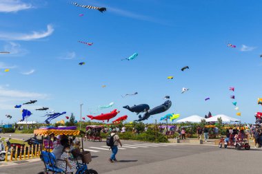 Tayvan 10 Eylül 2023: İnsanlar Hsinchu Kite Festivali 'nde Uçurtma Uçurtmasının keyfini çıkarıyor
