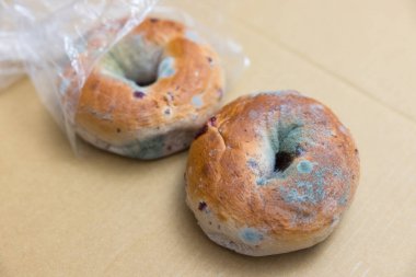 Küflenmiş çürük simit.