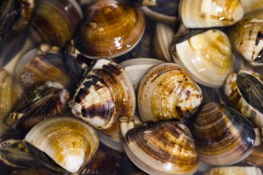 Kesme tahtasında çiğ midye hazır.