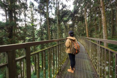 Huzurlu Yeşil Ormanda Yürüyen Kadın