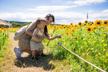 Anne güzel ayçiçeği tarlasında bebekle yürüyor.