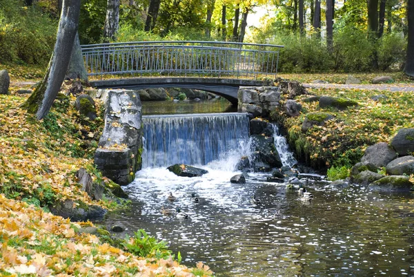 Водопад Мост Через Небольшую Реку Парке Осенью — стоковое фото