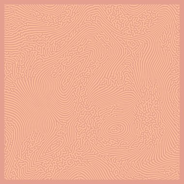 Kare doğal mercan deseni, şeftali tüylü soyut poster tasarımı reaksiyon difüzyon süsü. Pankart, broşür, davetiye. Vektör illüstrasyonu