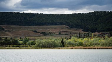 Bu atmosferik görüntü, bulutlu gökyüzünün altındaki sık ve karanlık ormanlık alanlara karşı bir üzüm bağına bakan kasvetli bir göl manzarasını yakalar. Doğanın ve tarımın zengin katmanları huzurlu ama dramatik bir atmosferi çağrıştırıyor.