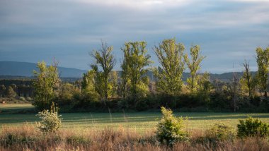 Güneş ışığı kırsal bir araziyi yıkıyor, çarpıcı bir gökyüzü zeminine karşı ağaçları ve tarlaları renklendiriyor..
