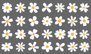 Tekrarlayan ve düzenli beyaz papatya deseni, güneşli sarı merkezli, modern gri bir arkaplanda ortaya çıkar, temiz bir estetik yayarlar..