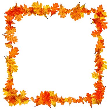 Sonbahar meşesi yapraklarının kıvrımlı kare çerçevesi canlı turuncu ve sarı tonlarda. Vektör illüstrasyonu.