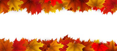 Canlı sonbahar akçaağaç yapraklarının üst ve alt sınırı kırmızı, turuncu ve sarı renklidir. Vektör illüstrasyonu