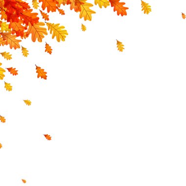 Sonbahar meşe yapraklarının canlı turuncu ve sarı tonlarda düşüşünün köşe tasarımı. Vektör illüstrasyonu.