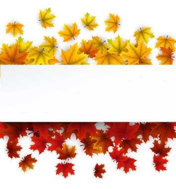 Sarı ve kırmızı sonbahar yaprakları boş beyaz bir pankart çerçeveler, metin ve tasarımlar için alan sunar, mevsimlik promosyonlar ve duyurular için mükemmeldir.