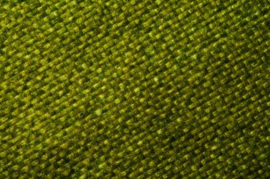 Parlak lifli yeşil sentetik kumaş ve ayrıntılı dokuma deseni..