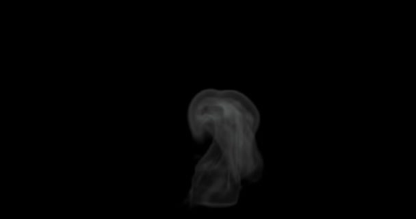 Render Smoke Steam Food Hot Surface Effect Video Overlay Set — Stock video