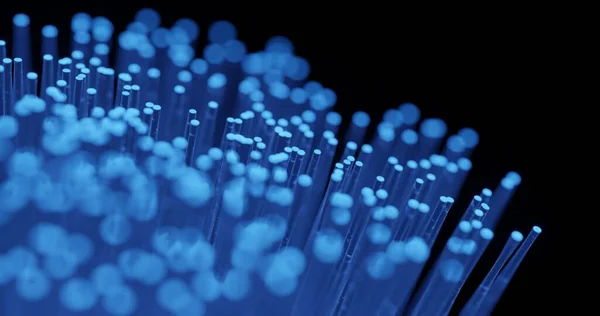 stock image 3d render of blinking fibre optic for data transfer transmission concept.