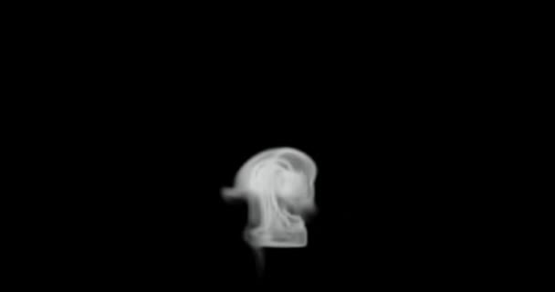 Render Smoke Steam Food Hot Surface Effect Video Overlay Set — 图库视频影像