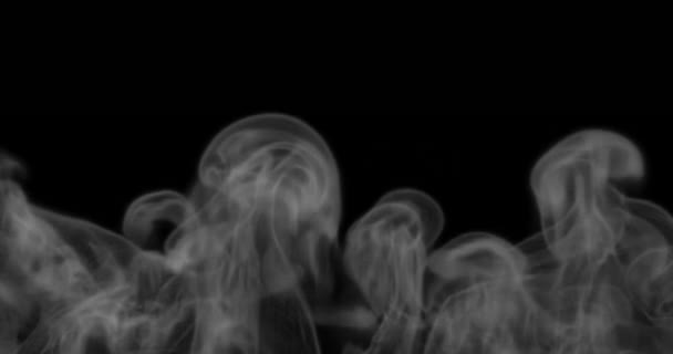 ビデオ効果のためのクイック蒸気やガス煙の3Dレンダリング — ストック動画
