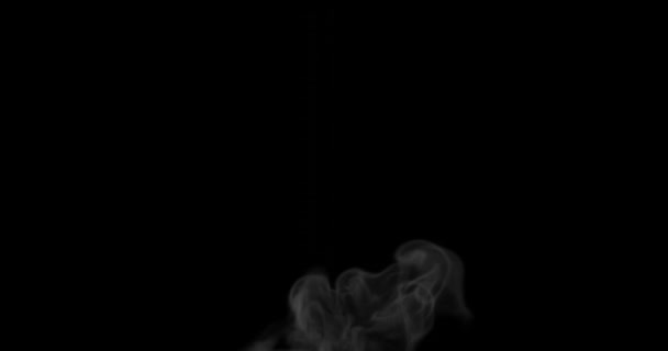 Render Quick Steam Thick Gas Smoke Video Effects — Stockvideo