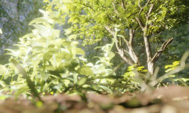 Üç boyutlu yeşil ağaç yaprağı ve dalları sabah güneşiyle birlikte ormanda..