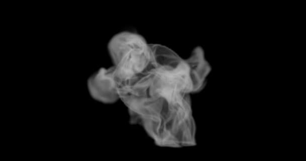 Καθιστούν Κορυφαία Άποψη Του Καπνού Ατμού Για Τρόφιμα Επίδραση Θερμής — Αρχείο Βίντεο