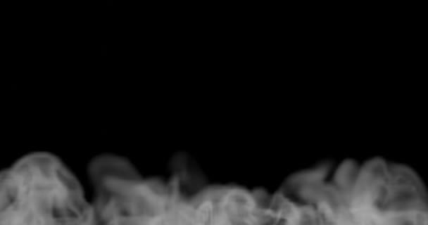 Render Smoke Steam Food Hot Surface Effect Video Overlay Set — Stock video