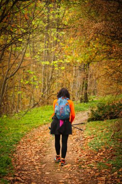 Orta yaşlı bir kadın, sonbaharın zengin renkleriyle çevrili dolambaçlı bir orman yolunda ilerliyor. Dayanıklı sırt çantası ve yürüyüş direkleri maceraya karşı derin bir tutkuyu ve güzelliği keşfetmek için daimi bir ruhu yansıtıyor.                     