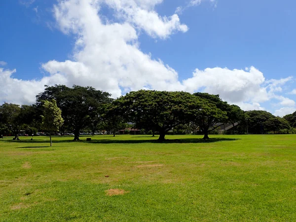 Träd Kapiolani Park Med Moln Fjärran Oahu Hawaii — Stockfoto