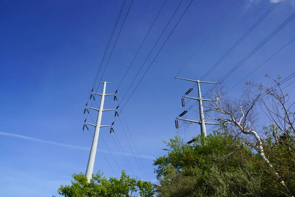 Два Столба Металлической Линии Электропередачи Над Деревьями Штате Мэн — стоковое фото