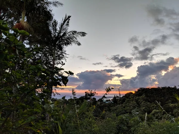 stock image Dusk over Honolulu through the clouds over the ocean seen from Tantalus mountain past tropical silhouette of trees  on Oahu, Hawaii.