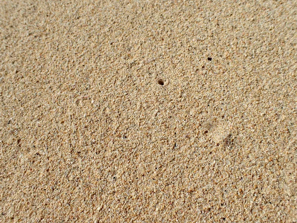 Grani Sabbia Oahu Beach Con Foro Aria — Foto Stock
