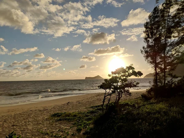 Wschód Słońca Nad Oceanem Przez Drzewa Plaży Waimanalo Królikiem Rock — Zdjęcie stockowe