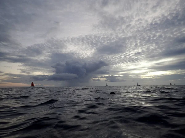 Segelboote Wasser Und Epische Wolken Himmel Mit Hundeschwimmen Der Abenddämmerung — Stockfoto