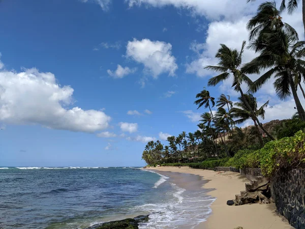 Uçurumun Kenarında Bitki Örtüsü Oahu Hawaii Alacakaranlıkta Güzel Bir Olan Stok Resim