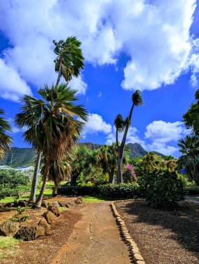 A peaceful pathway lined with trees in the tranquil Queen Kapiolani Garden, a historic and serene oasis on the island of Oahu. Originally donated for public use by King David Kalakaua in 1877, the 133-acre park is named after his wife, Queen Kapiolan