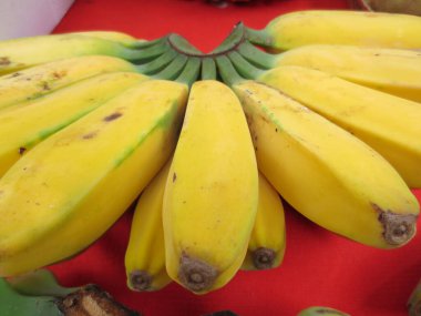 Honolulu, Hawaii 'deki bir çiftçi pazarında taze toplanmış sarı olgun muzlar satılıyor. Bu tatlı, lezzetli muzlar atıştırmak ya da pişirmek için mükemmeldir..  