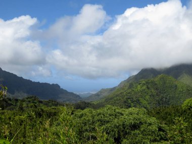 Dağlarda ağaçlarla dolu yemyeşil bir orman. Gökyüzünde bulutlar var. Oahu, Hawaii 'deki Windward tarafına bakıyor..
