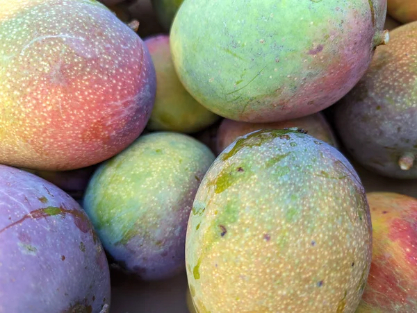 Oahu Hawaii Farklı Boyutlarda Güneş Tarafından Öpülmüş Mango Yığını Lezzetli — Stok fotoğraf