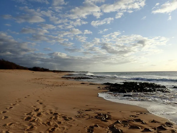 Stenig Strand Och Träd Skapar Fantastisk Kontrast Vid Pahohaku Beach — Stockfoto