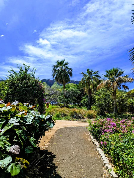 Path Historic Queen Kapiolani Garden Serene Oasis Rich Oahu Opened — Stock Photo, Image